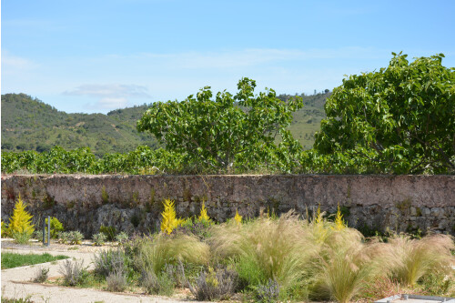 Agroturismo