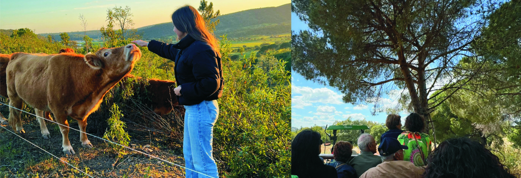 Quinta do Mel